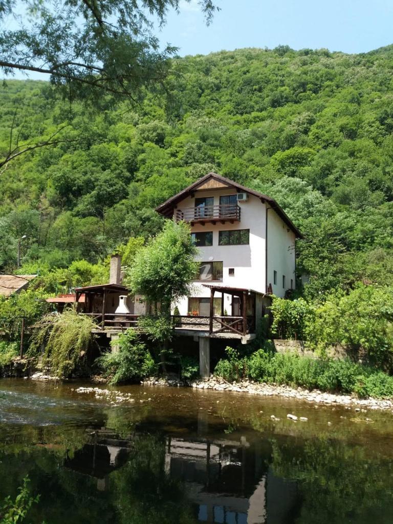 ホテル Casa Vivian Băile Herculane エクステリア 写真